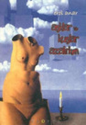Aşklar ve Kuşlar Azalırken  Frontansicht 1