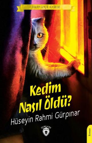 Kedim Nasıl Öldü?  Frontansicht 1