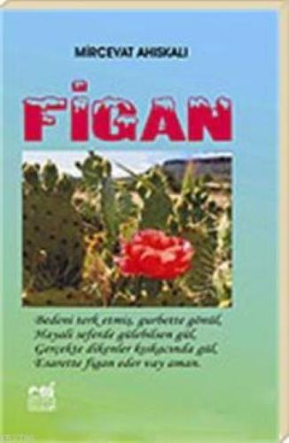 Figan  Frontansicht 1