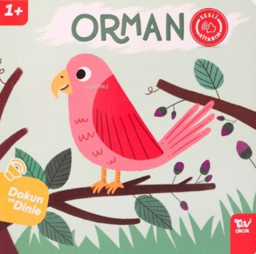 Orman;Dokun Ve Dinle Sesli Kitabım  Frontansicht 1