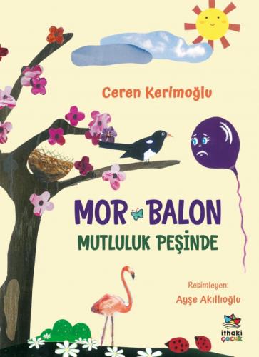Mor Balon Mutluluk Peşinde  Frontansicht 1