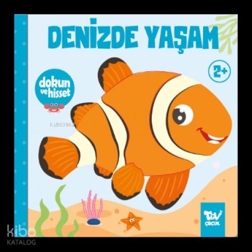Dokun ve Hisset Denizde Yaşam  Frontansicht 1