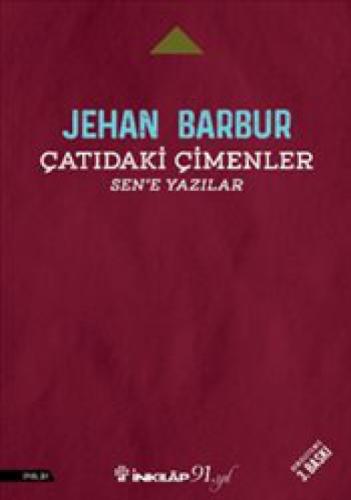 Çatıdaki Çimenler  Frontansicht 1