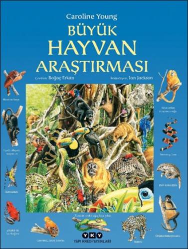 Büyük Hayvan Araştırması  Frontansicht 1