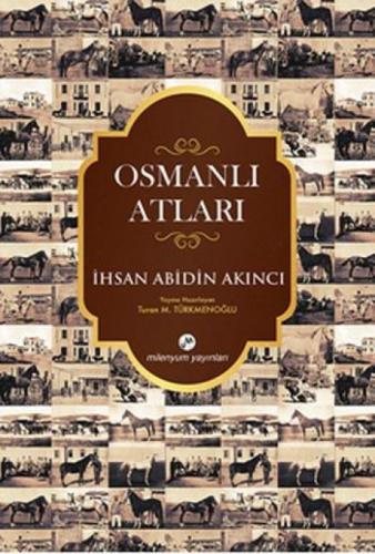 Osmanlı Atları  Frontansicht 1