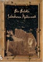 Bir Balıkla Sahtekarca İlgilenmek  Frontansicht 1