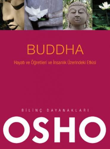 Buddha - Hayatı ve Öğretileri ve İnsanlık Üzerindeki Etkisi  Frontansicht 1