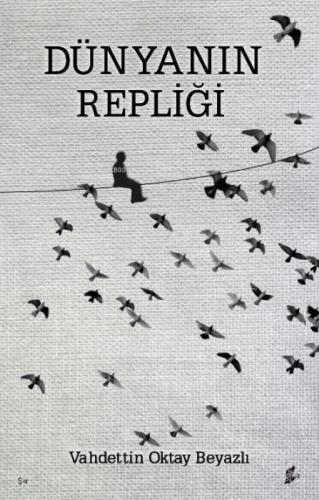 Dünyanın Repliği  Frontansicht 1