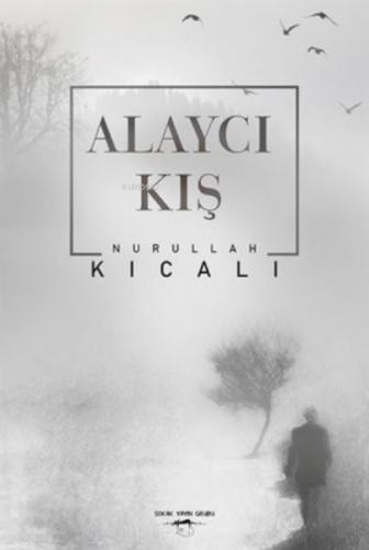 Alaycı Kış  Frontansicht 1