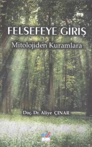 Felsefeye Giriş  Frontansicht 1