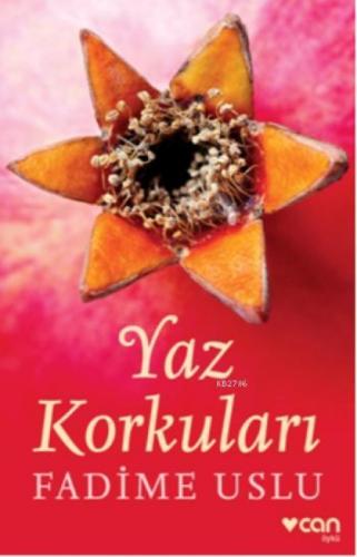 Yaz Korkuları  Frontansicht 1