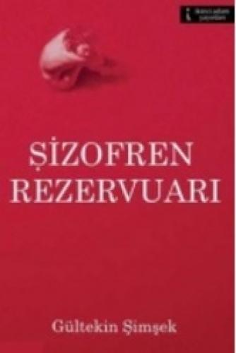 Şizofren Rezervuarı  Frontansicht 1