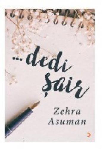 Dedi Şair  Frontansicht 1
