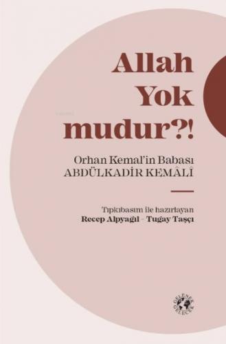 Allah Yok mudur?! (Ciltli)  Frontansicht 1