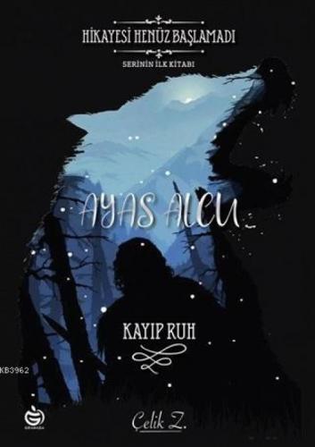 Ayas Alcu - Kayıp Ruh  Frontansicht 1