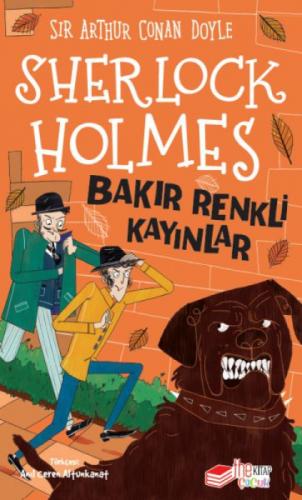 Sherlock Holmes - Bakır Renkli Kayınlar  Frontansicht 1