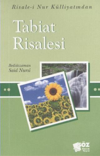 Tabiat Risalesi  Frontansicht 1