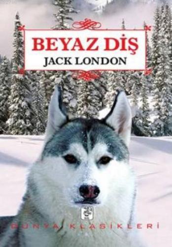 Beyaz Diş  Frontansicht 1