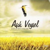 Dostlar Beni Hatırlasın (CD)  Frontansicht 1