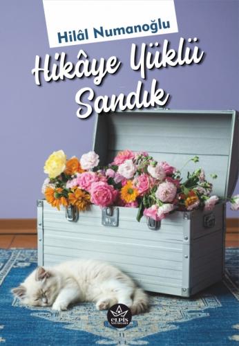 Hikaye Yüklü Sandık  Frontansicht 1
