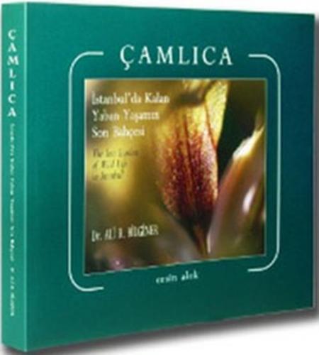 Çamlıca  Frontansicht 1