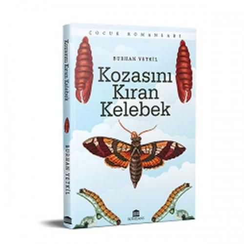 Kozasını Kıran Kelebek  Frontansicht 1