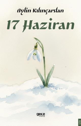 17 Haziran  Frontansicht 1