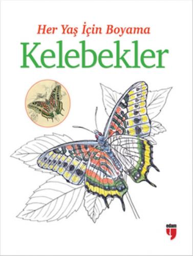 Her Yaş İçin Boyama - Kelebekler  Frontansicht 1