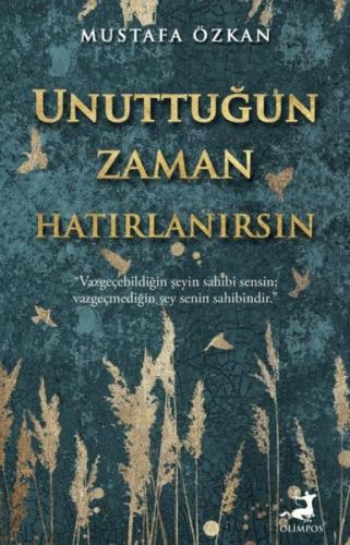 Unuttuğun Zaman Hatırlanırsın  Frontansicht 1