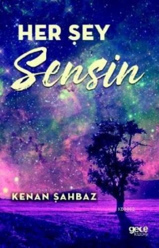 Her Şey Sensin  Frontansicht 1