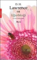 Uğur Böceği  Frontansicht 1