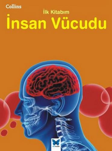 İnsan Vücudu  Frontansicht 1