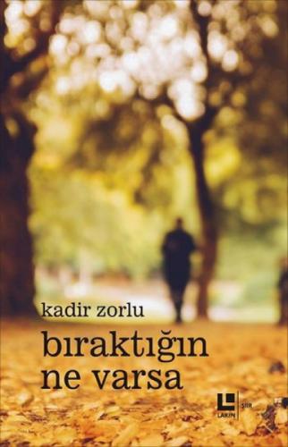 Bıraktığın Ne Varsa  Frontansicht 1