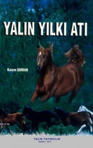 Yalın Yılkı  Frontansicht 1
