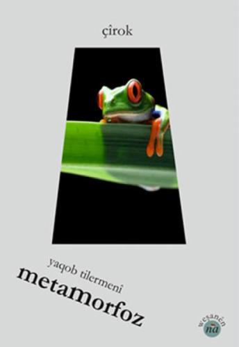 Metamorfoz  Frontansicht 1