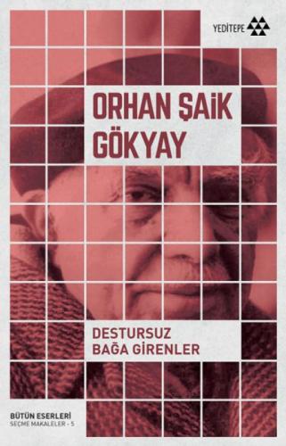 Destursuz Bağa Girenler  Frontansicht 1