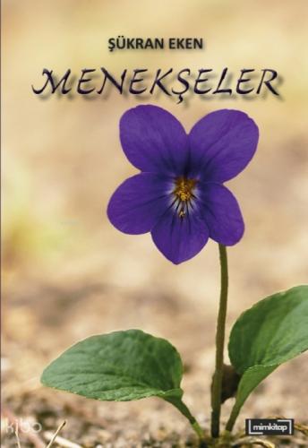 Menekşeler  Frontansicht 1