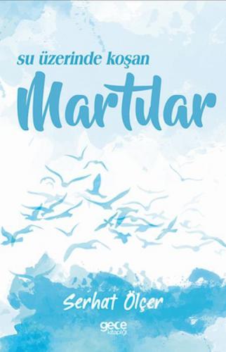 Su Üzerinde Koşan Martılar  Frontansicht 1
