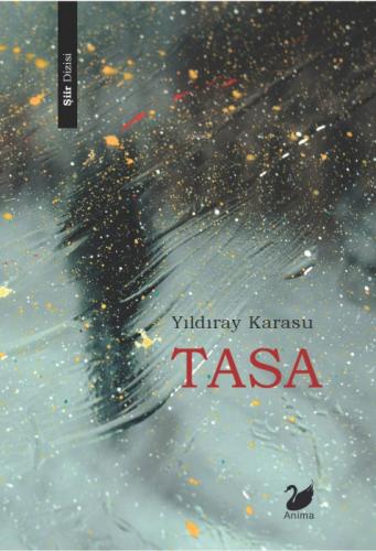 Tasa  Frontansicht 1