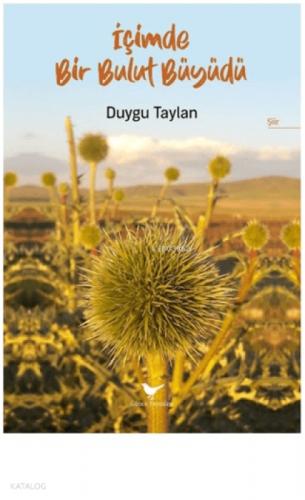 İçimde Bir Bulut Büyüdü  Frontansicht 1