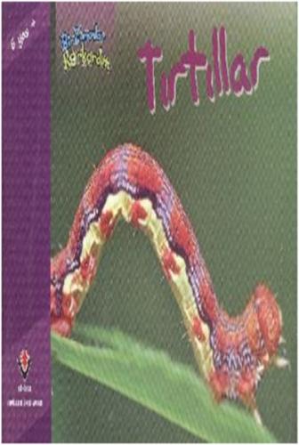 Bir Zamanlar Korkardım - Tırtıllar  Frontansicht 1