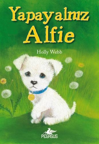 Yapayalnız Alfie  Frontansicht 1