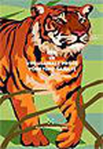 Zen ve Uygulamalı Proje Yönetimi Sanatı  Frontansicht 1