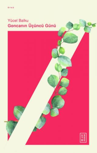 Goncanın Üçüncü Günü  Frontansicht 1