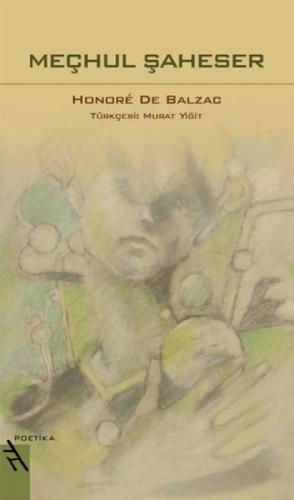 Meçhul Şaheser  Frontansicht 1