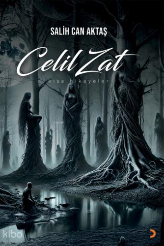 Celil Zat  Frontansicht 1