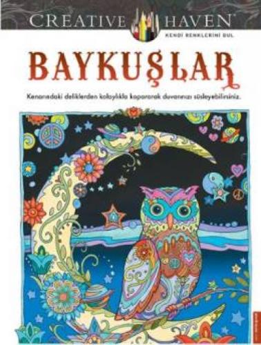 Baykuşlar  Frontansicht 1
