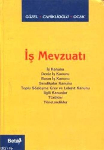 İş Mevzuatı (Ciltli)  Frontansicht 1