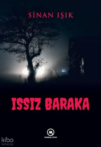 Issız Baraka  Frontansicht 1