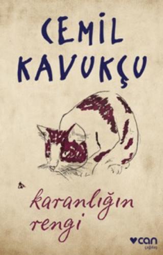 Karanlığın Rengi  Frontansicht 1